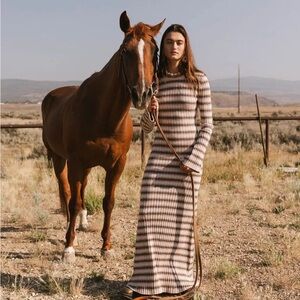 Bohme Striped Long Sleeve Dress - Brown and Cream